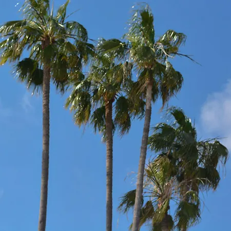 Ath Athenee 3* كان