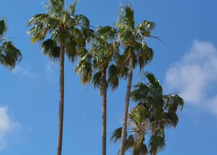 Ath Athénée 3* Cannes